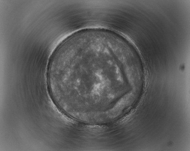 X0000115580943200912011435