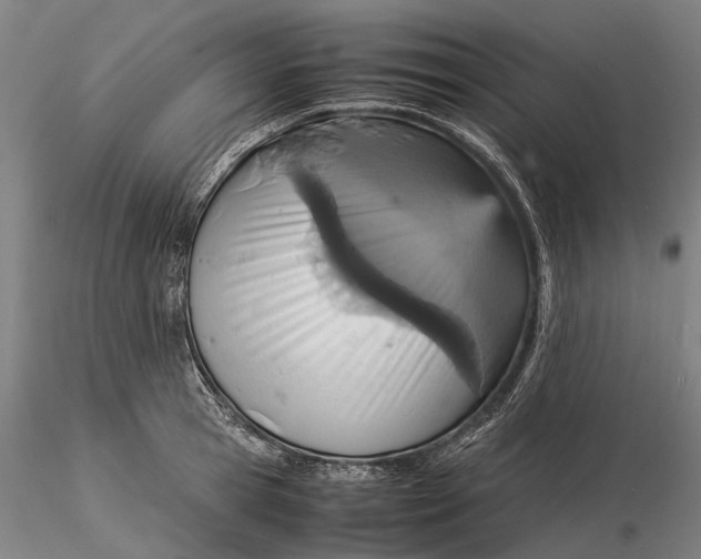 X0000115580945200912011435