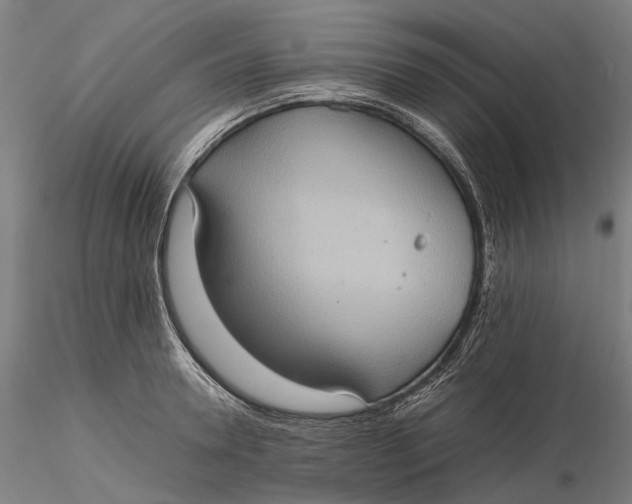 X0000115580946200912011435