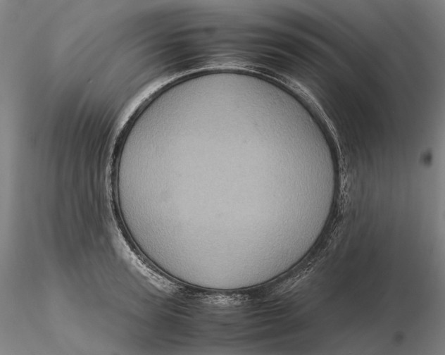 X0000115580947200912011435