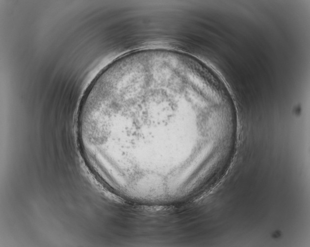 X0000115580949200912011435