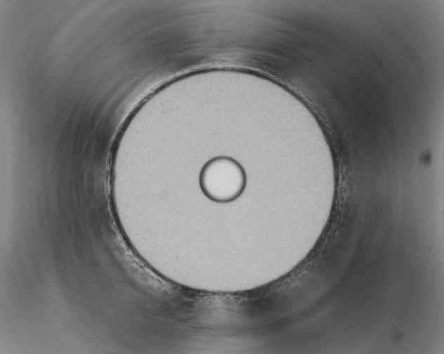 X0000115580950200912011435