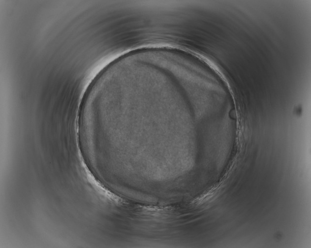 X0000115580951200912011435