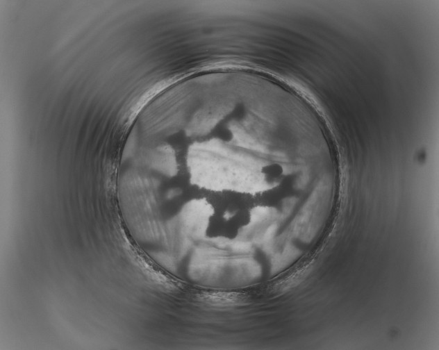 X0000115580953200912011436