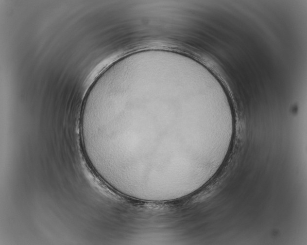 X0000115580954200912011436