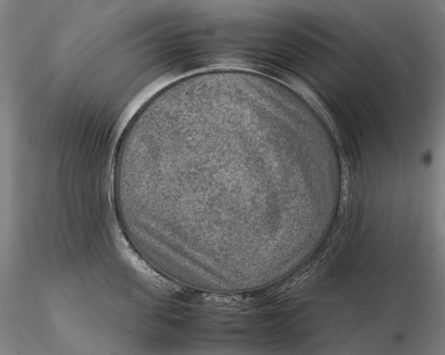 X0000115580955200912011436