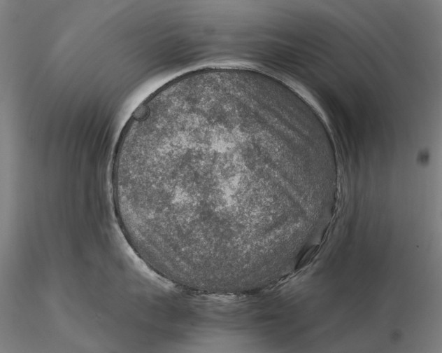 X0000115580959200912011436