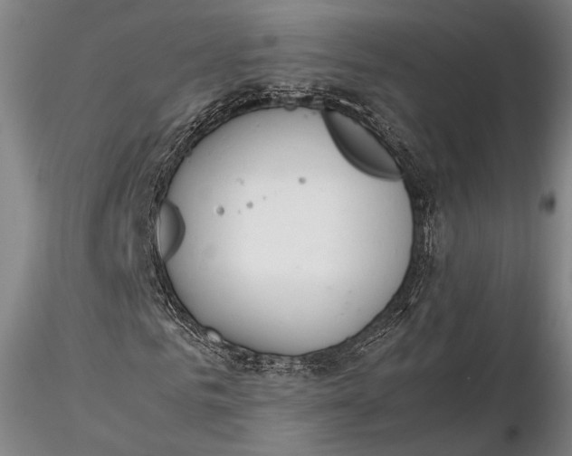 X0000115580961200912011435