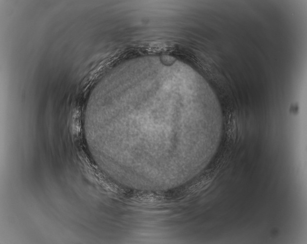 X0000115580962200912011435