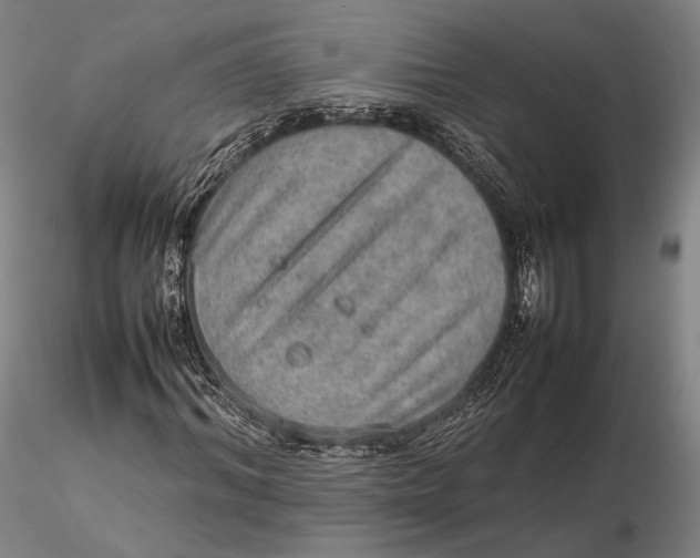 X0000115580964200912011435