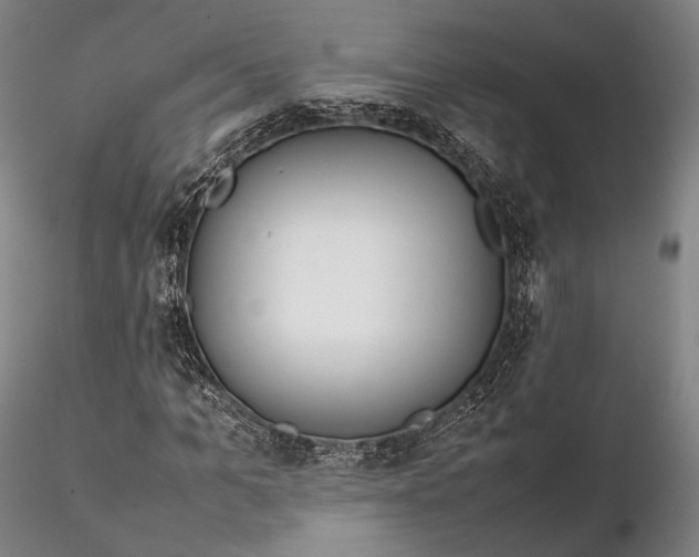 X0000115580965200912011435