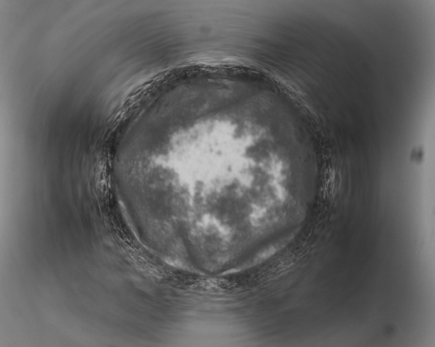 X0000115580966200912011435