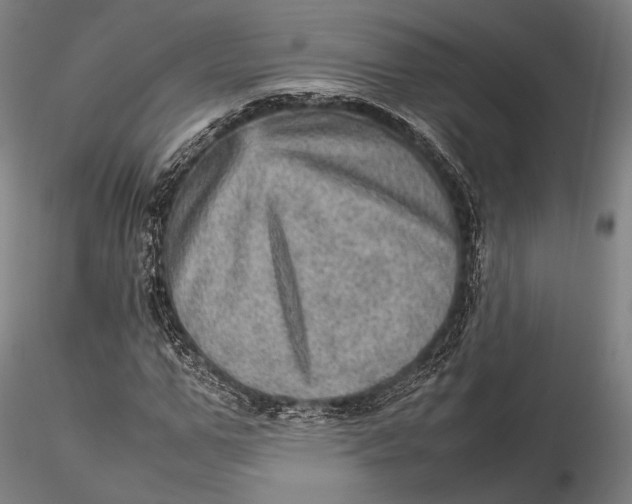 X0000115580967200912011435