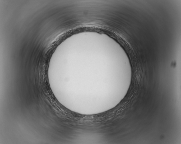 X0000115580968200912011435