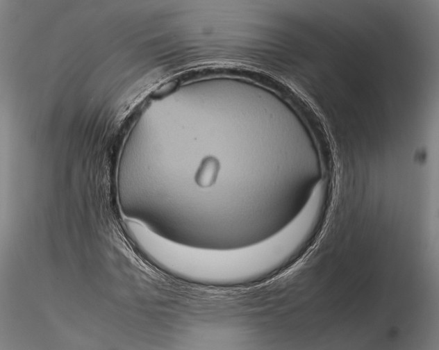 X0000115580969200912011435