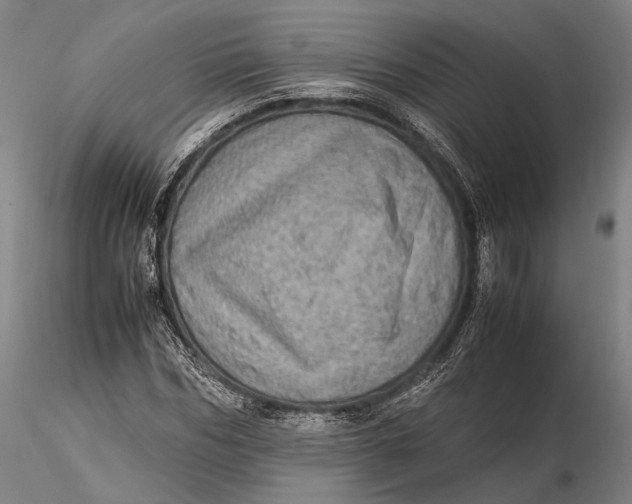 X0000115580970200912011435