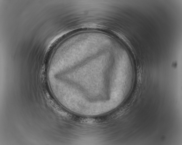 X0000115580971200912011435