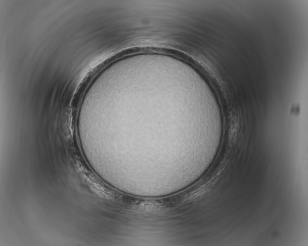 X0000115580974200912011435