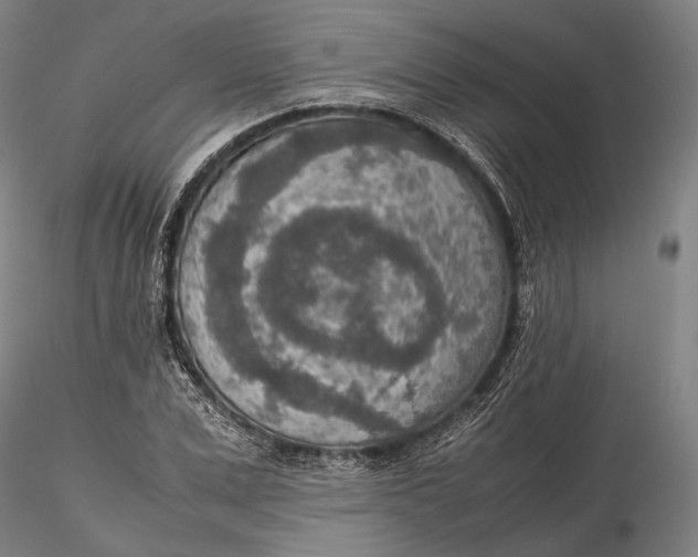 X0000115580975200912011435