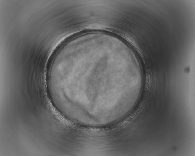 X0000115580976200912011435