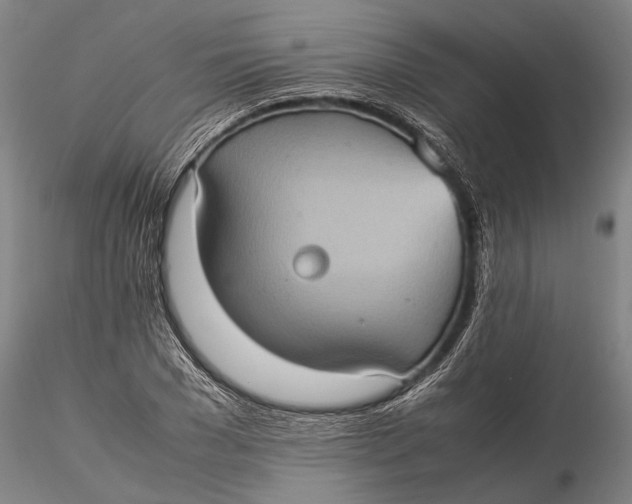 X0000115580977200912011435