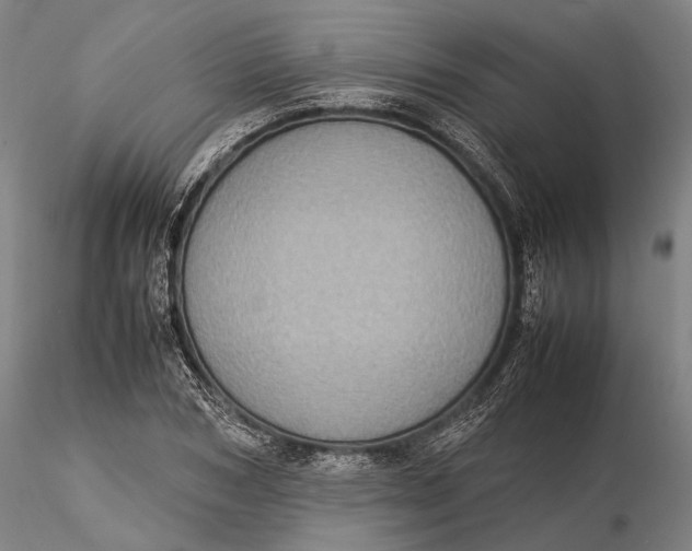 X0000115580978200912011435