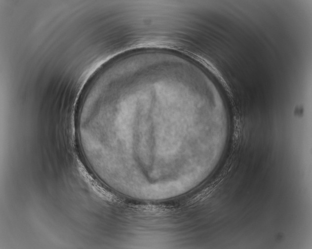 X0000115580980200912011435