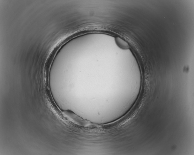 X0000115580981200912011435