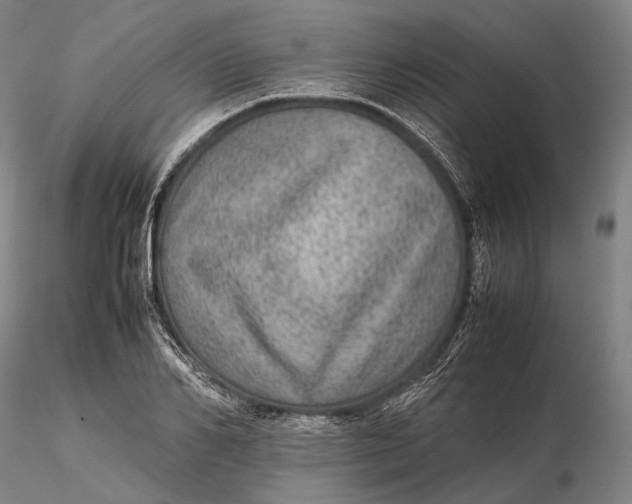 X0000115580982200912011435