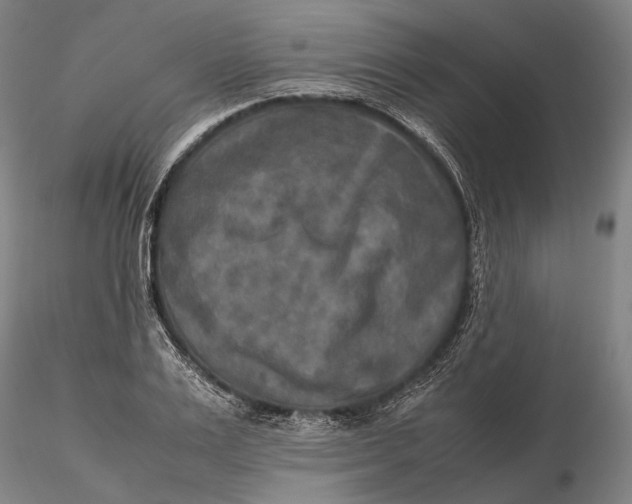 X0000115580983200912011435