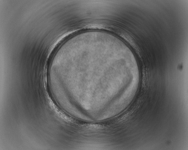 X0000115580984200912011435