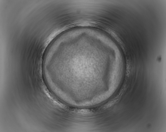 X0000115580986200912011435