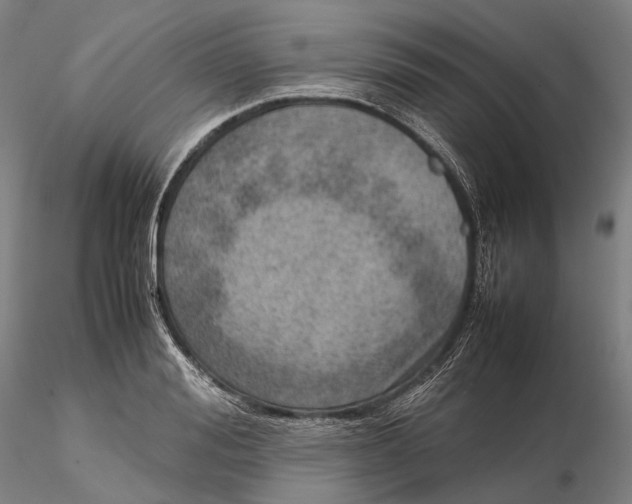 X0000115580988200912011435