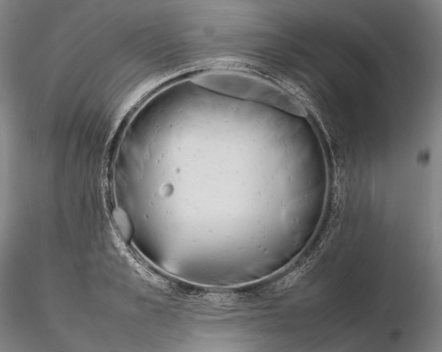 X0000115580989200912011435