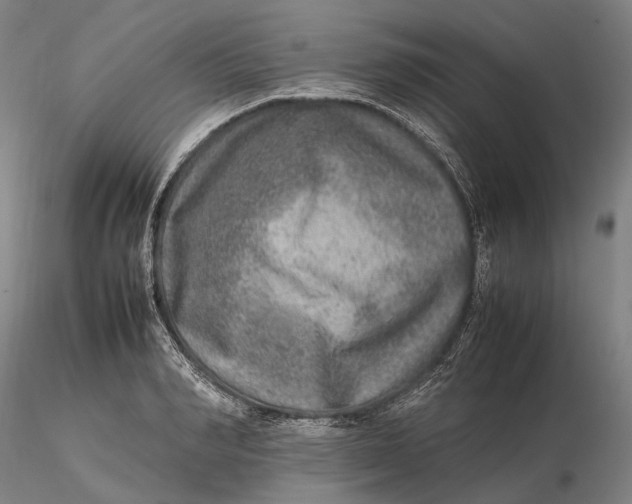 X0000115580990200912011435