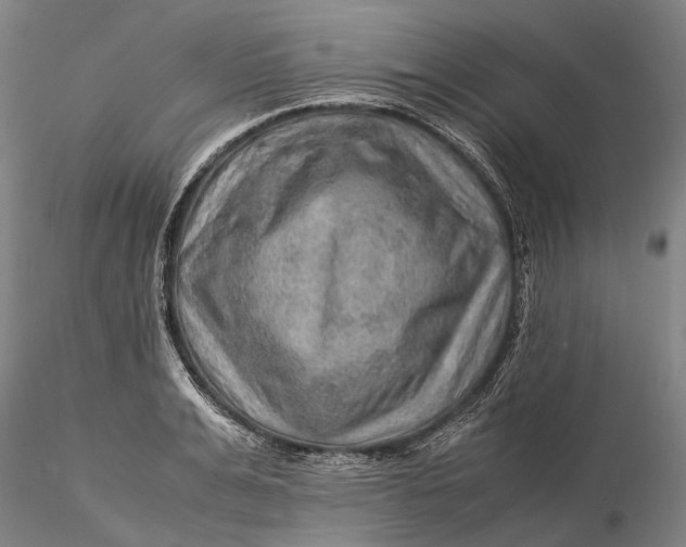 X0000115580991200912011435