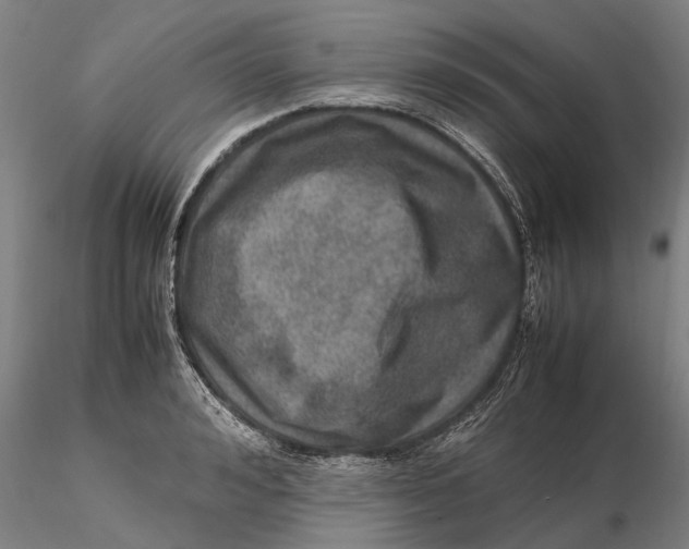 X0000115580992200912011435