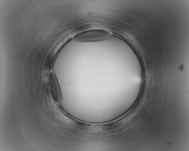 X0000115580993200912011435