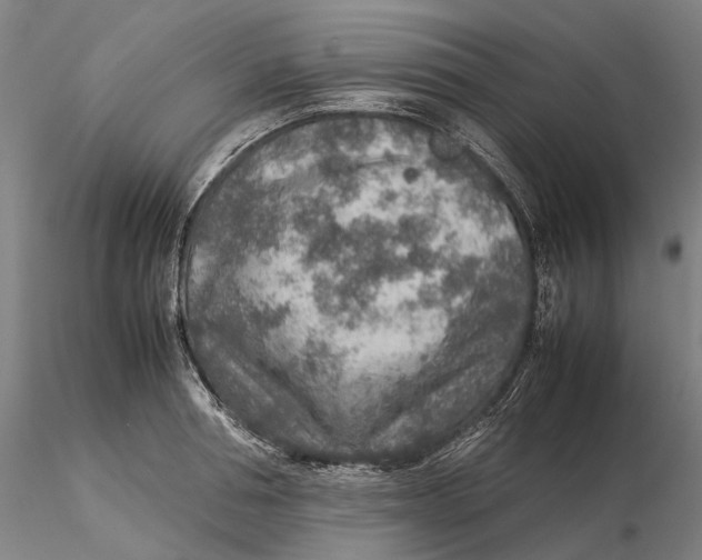 X0000115580994200912011435