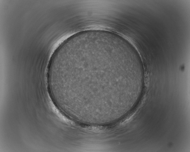 X0000115580995200912011434