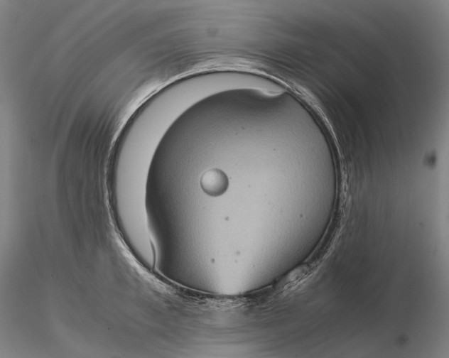 X0000115580997200912011434