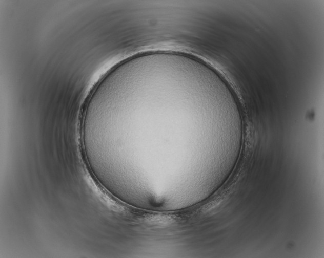 X0000115580998200912011434