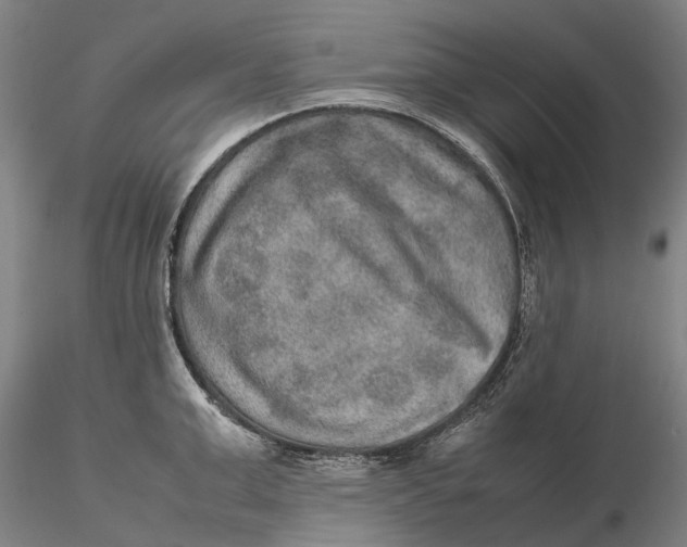 X0000115580999200912011434