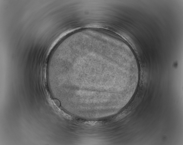 X0000115581000200912011434