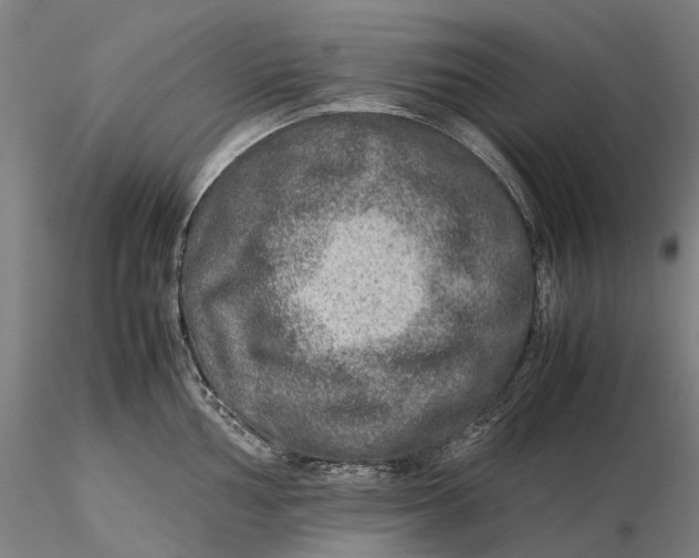 X0000115581002200912011434