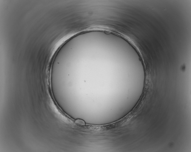 X0000115581003200912011434