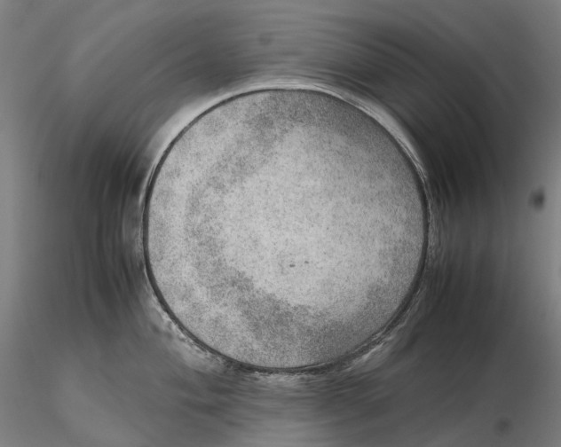 X0000115581004200912011434