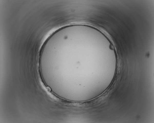 X0000115581005200912011434