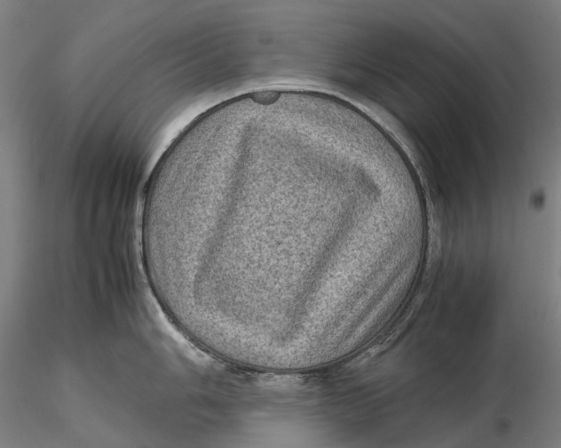 X0000115581006200912011434