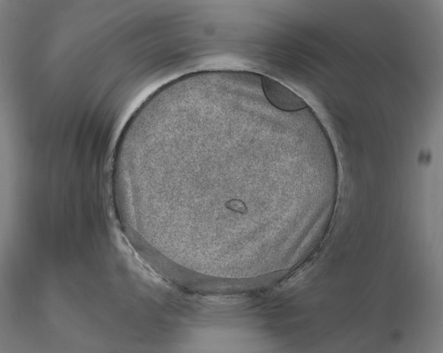 X0000115581008200912011434